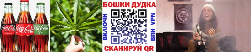 Canna-Cookies марихуана  mega ссылки  Суровикино  дарнет шоп 